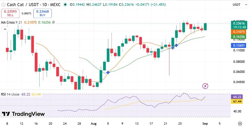 CASH CAT RSI & MA