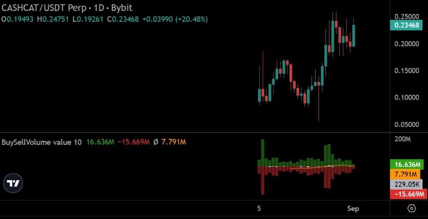 Cash cat perps sell buy volume