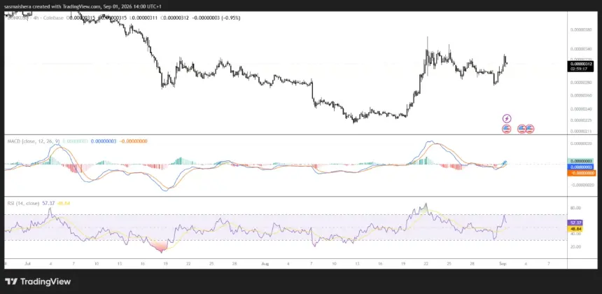 COINBASE:BONKUSD 4H Chart