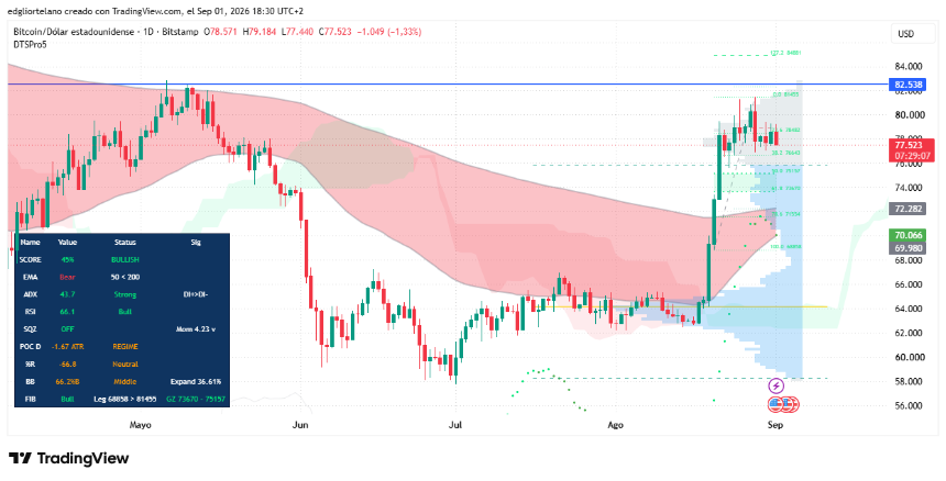 Daily Bitcoin price chart