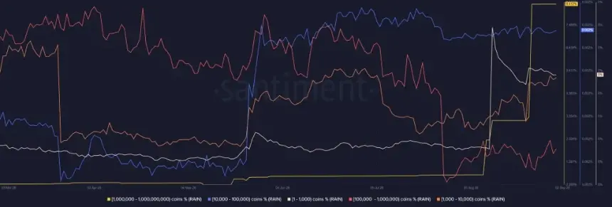 RAIN Price Poised for Breakout as Whales Absorb Retail Selling Amid Protocol Upgrades