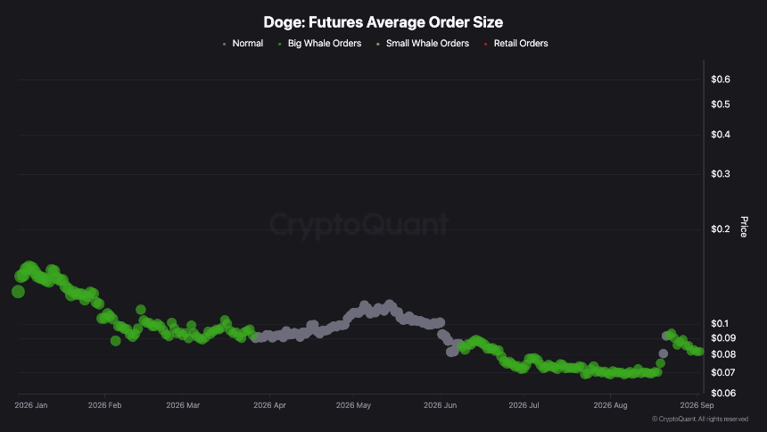 Dogecoin Holds $0.09 Despite Cooling Futures Momentum and Rising Seller Pressure