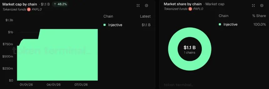 PAPL0 market cap on Injective