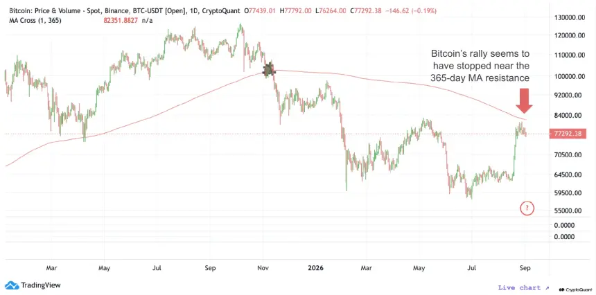 Bitcoin 365DMA