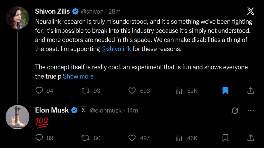 Elon Musk SLINK