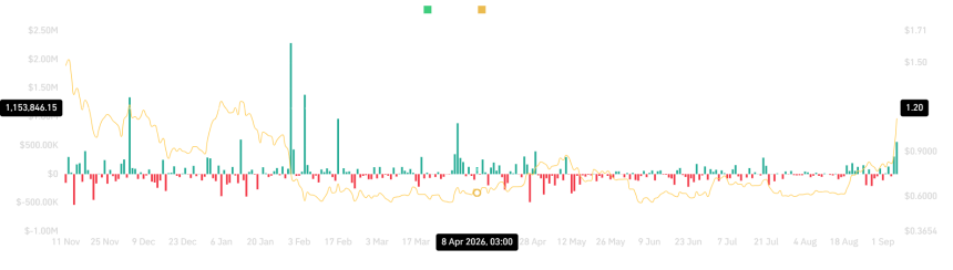 Raydium spot netflow