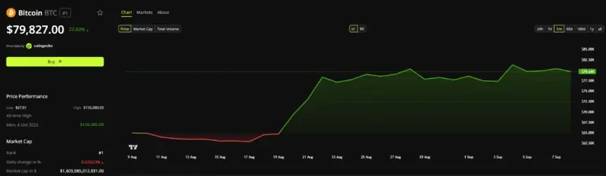 Bitcoin Price Performance
