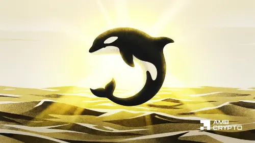 ORCA突破1.60美元 杠杆多头瞄准2美元 关键阻力与支撑位解析