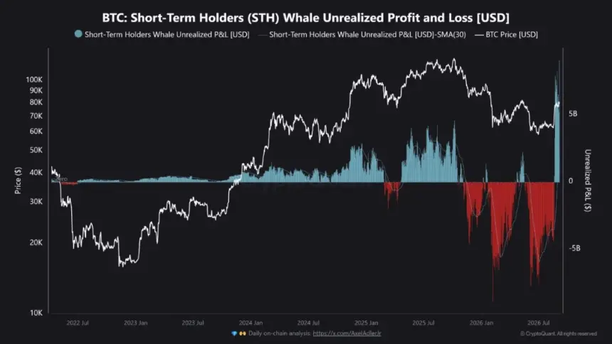 STH Whale Profit Chart