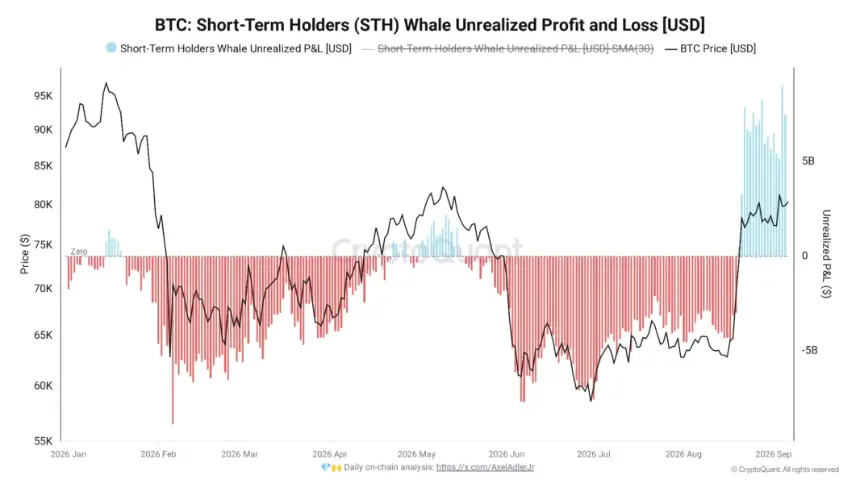 Bitcoin STH whale unrealized profit and loss