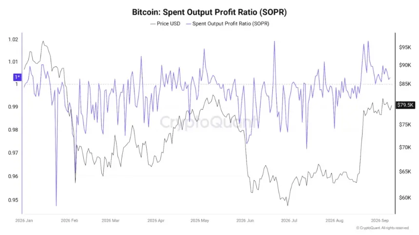 Bitcoin SOPR chart