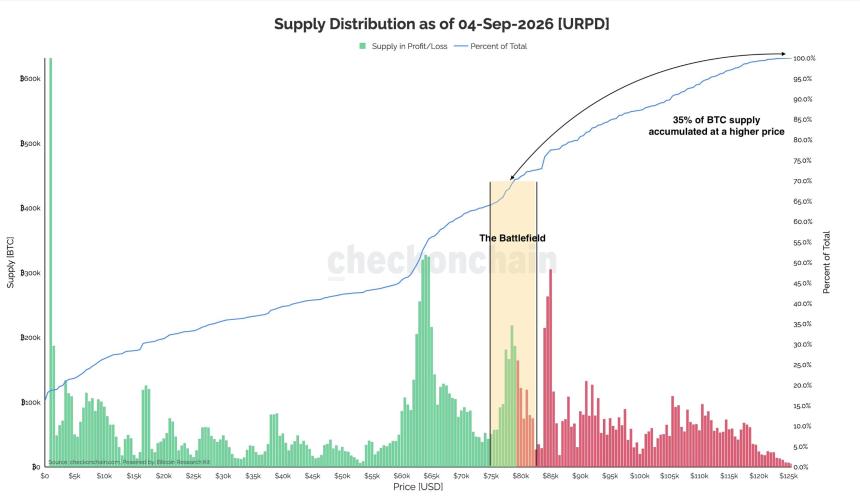 Bitcoin supply distribution chart