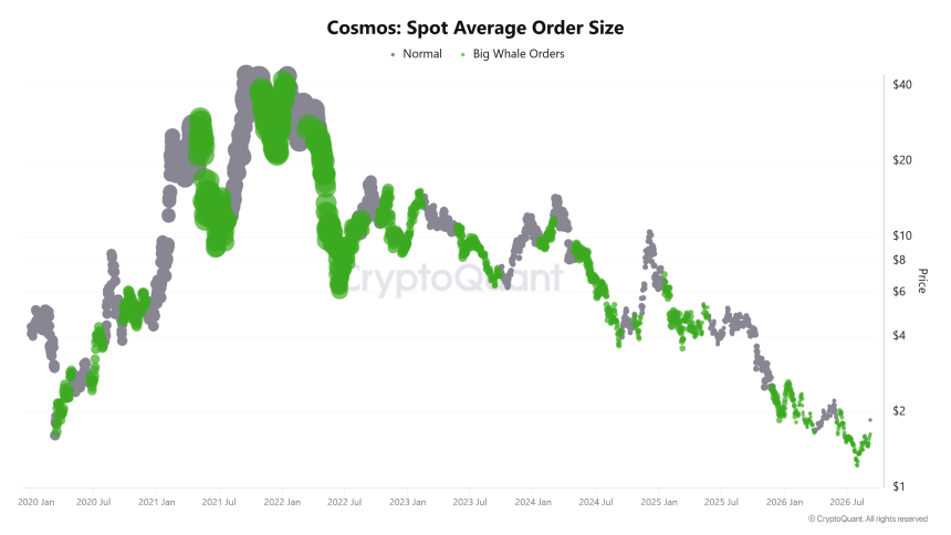 Cosmos spot average order size source: CryptoQuant