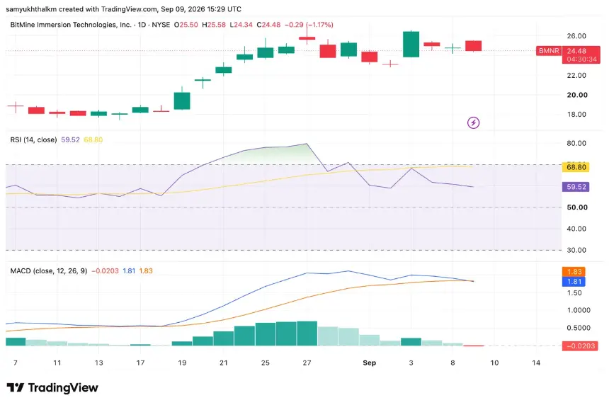 bmnr stock