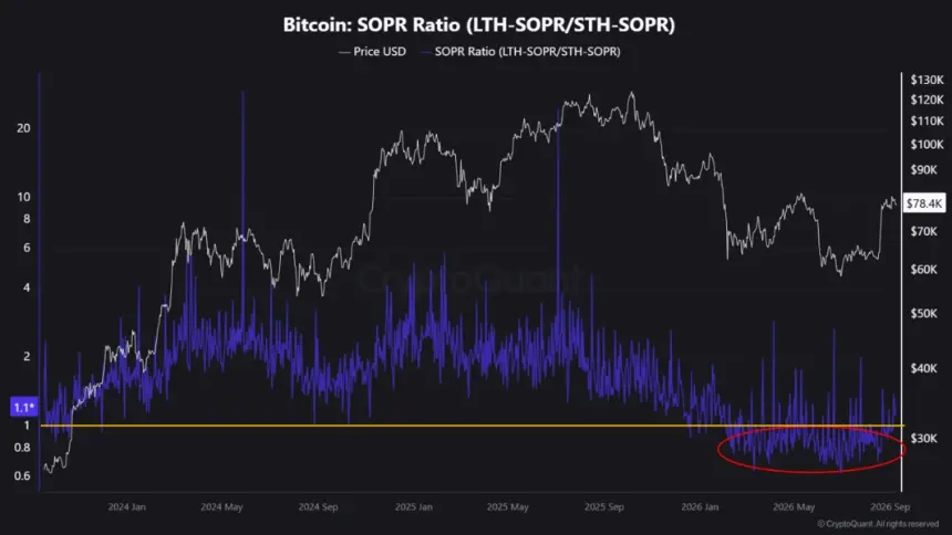 Line chart showing Bitcoin price in USD and the purple SOPR ratio dipping below the yellow 1.0 baseline inside a red oval.