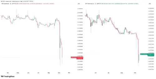 XRP Healthcare 停运下架代币：前 Ripple 工程师称代码缺陷早有预警