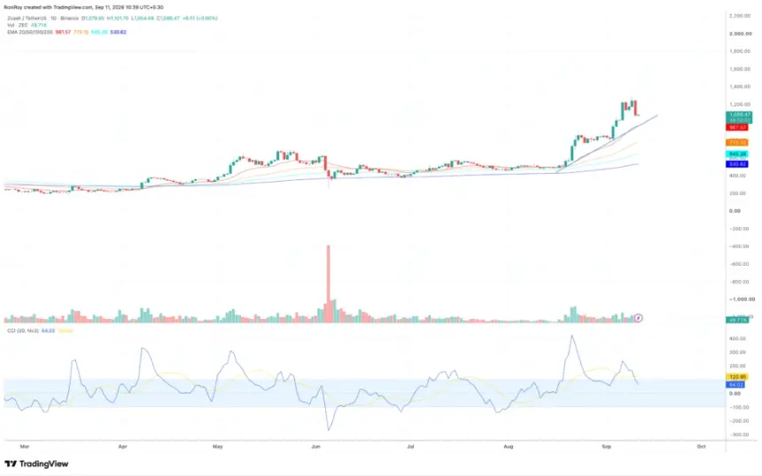 BINANCE:ZECUSDT 1日价格图。来源：TradingView。
