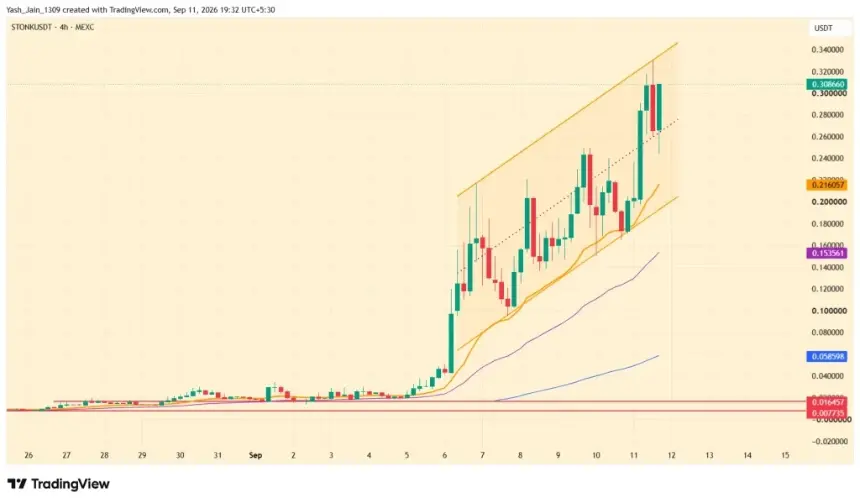 STONK 销毁 4000 万美元,奖励超 3000 万美元,价格测试 0.32 美元
