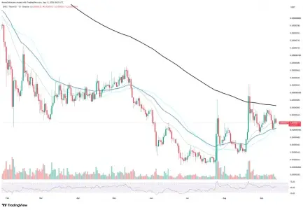SHIB链上活动激增42%，但价格图表显示看涨信号尚未确认