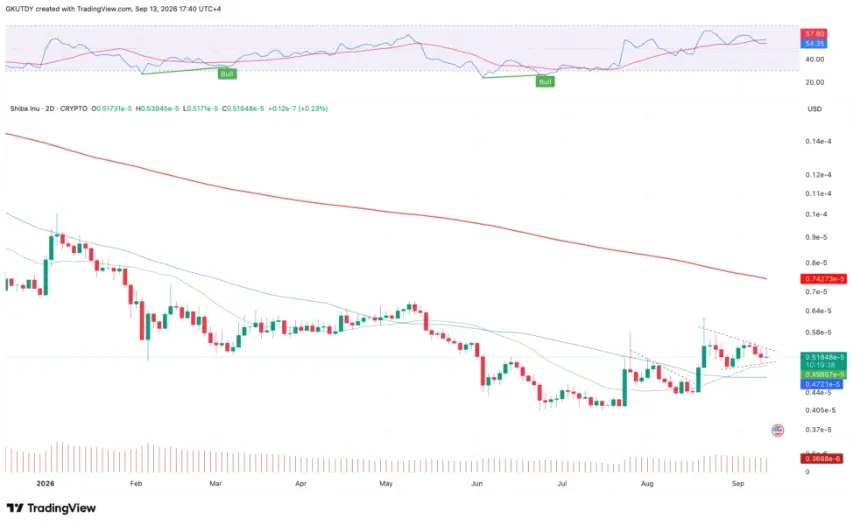 TradingView 上的 Shiba Inu 加密货币技术分析图表，显示对称三角形压缩形态、RSI 与移动平均线。