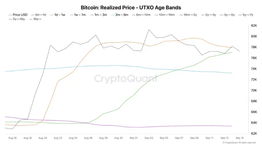 比特币短期持有者连续30天盈利,牛市回归概率上升:CryptoQuant