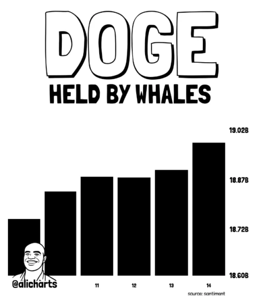 DOGE巨鲸持仓上升,价格延续整理