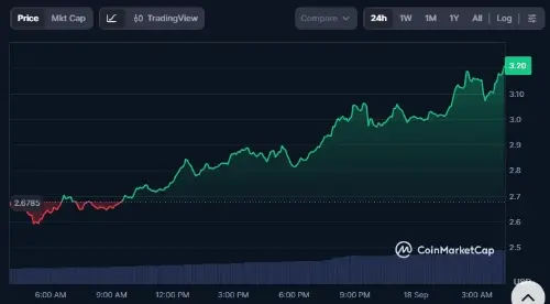 Hyperliquid 上线历史性“默认隐私”永续合约，NEAR 单日飙升 21%