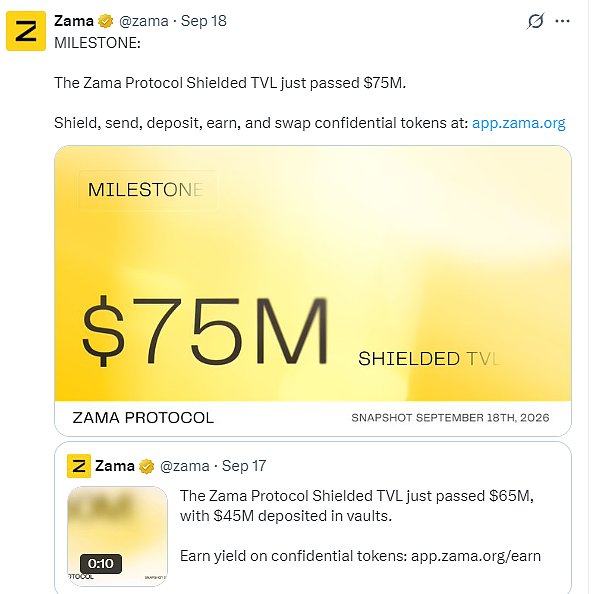 PtLW162tSkf1JXZB66cCjbYyoQUql8n0j1ER1xBo.png