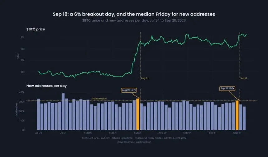 BTC network activity chart