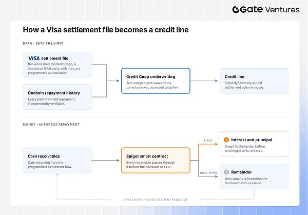 Visa 与 Mastercard 的下一场支付之战：稳定币与 AI 代理