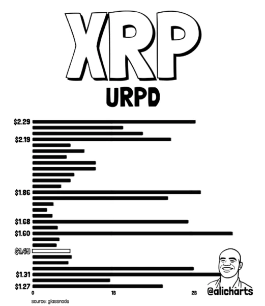 XRP Whale Accumulation Hits $2.2B as Price Tests $1.60 Supply Wall