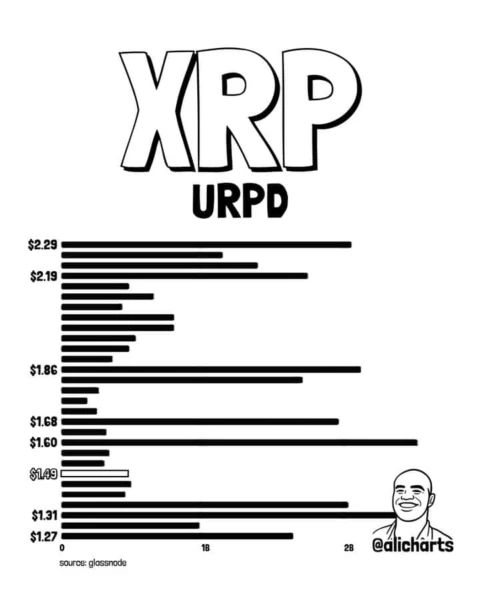 XRP巨鲸增持图