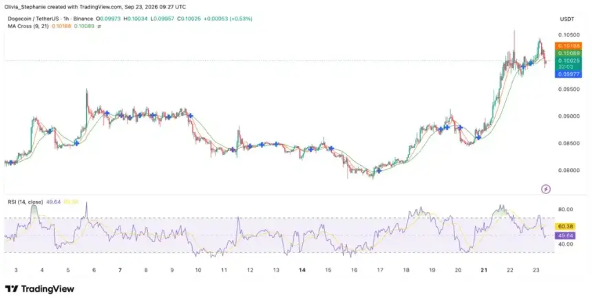 狗狗币（DOGE）价格走势图，来源：TradingView