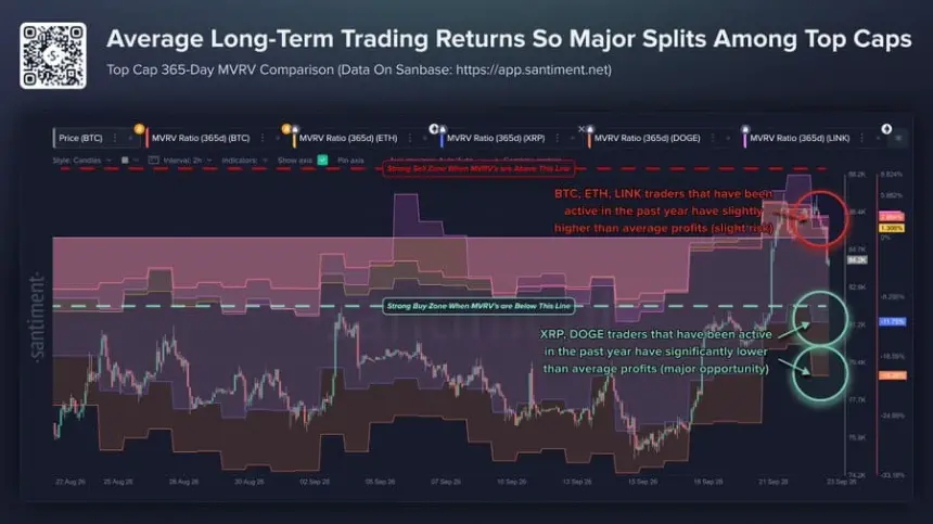 Santiment的XRP与DOGE链上分析图