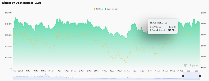 Bitcoin Slips From Seven-Month High as BCH and BSV Forks Surge on CME, ETF News