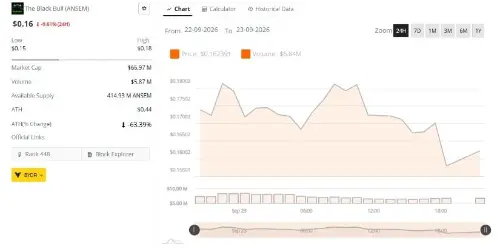 ANSEM 跌 9% 至 0.16 美元，交易员关注 0.15 美元支撑能否触发反转