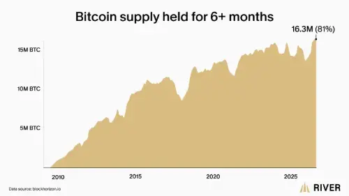 比特币供应冲击加深:81%的BTC六个月未动,活跃流通量缩至370万枚