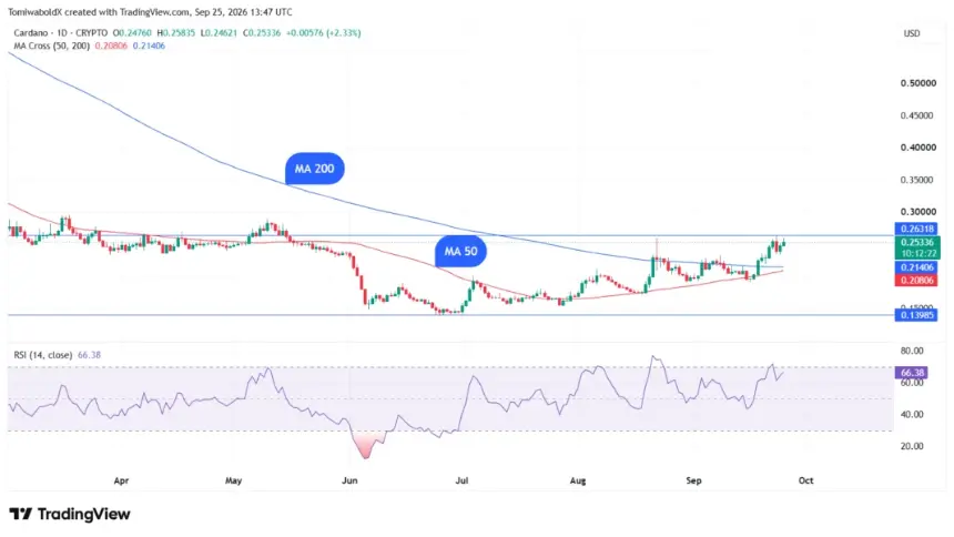 TradingView