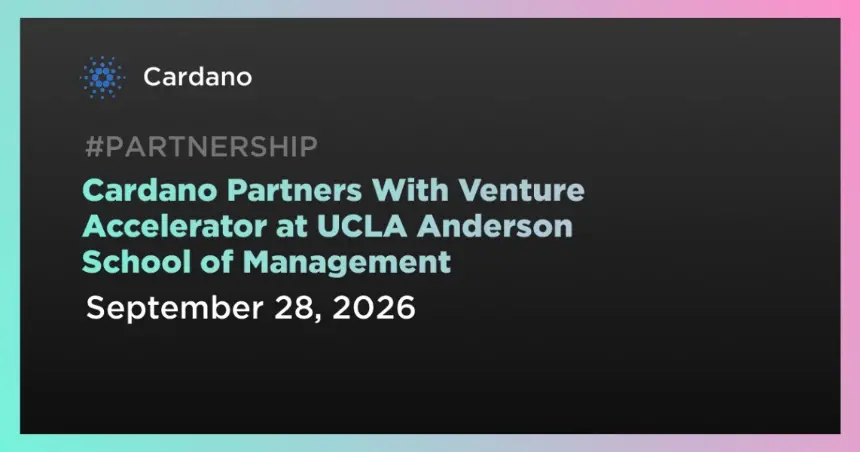 Partnership