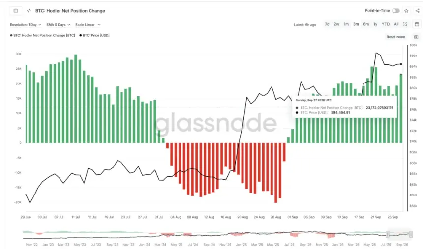 Bitcoin Hodler Net Position Change