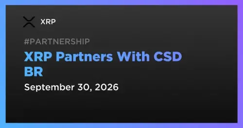 Ripple 与 CSD BR 合作:XRP Ledger 接入受监管资本市场