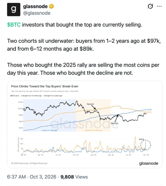Glassnode Bitcoin holder cost basis chart
