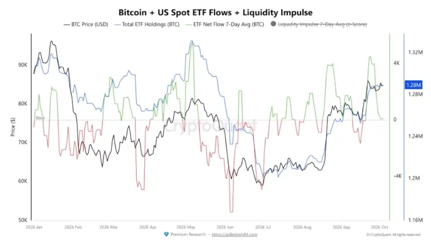 Source: CryptoQuant
