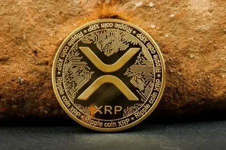 Ripple与XRP Ledger基金会推出XRP Asia，加速XRPL亚太区采用