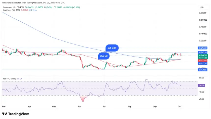 TradingView