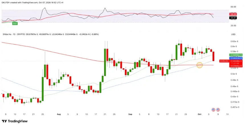 Shiba Inu加密货币日线K线图，含金叉指标与RSI指数，来源TradingView