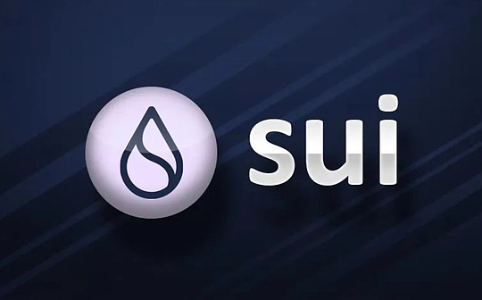 Sui华语开发者为何离开:JSON-RPC争议、沟通断层与开发者流失