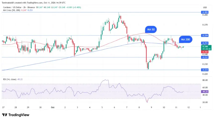 TradingView