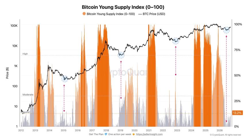 Bitcoin Young Supply Index