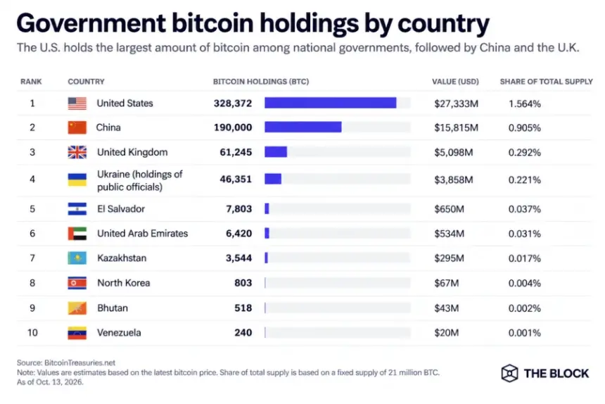 各国政府比特币持有量。图片：The Block/Bitcoin Treasuries。